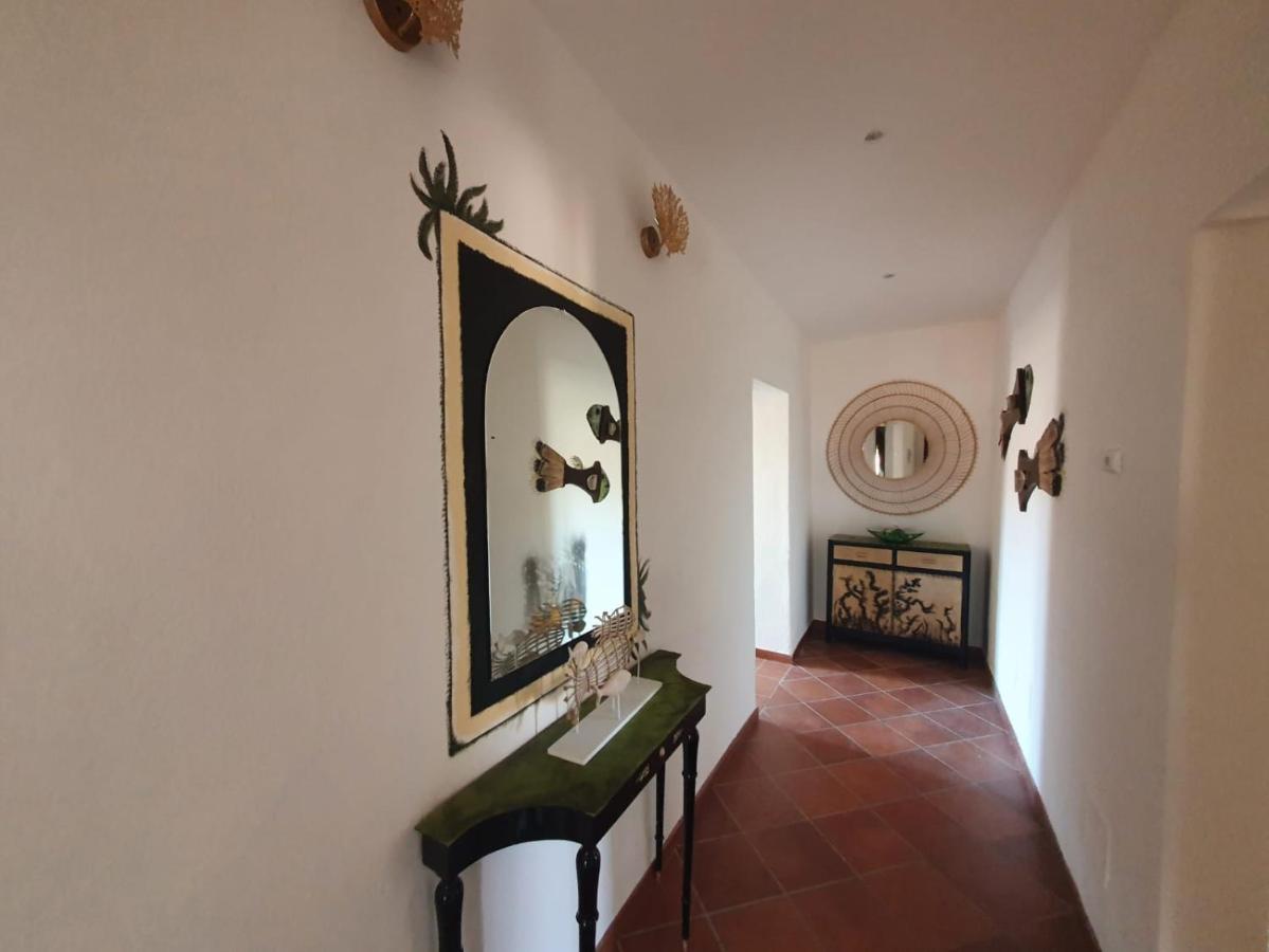 Aquarius Apartment Pisa Ngoại thất bức ảnh